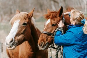 Hobby Horses